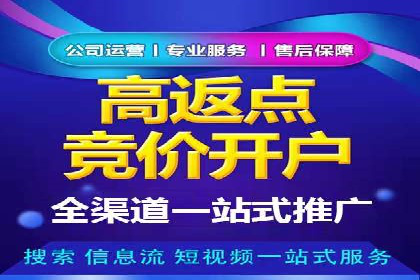 百度竞价公司案例分析：优化策略全解析